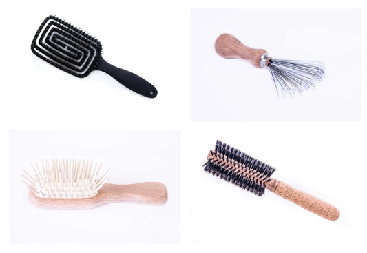 The Family Collection